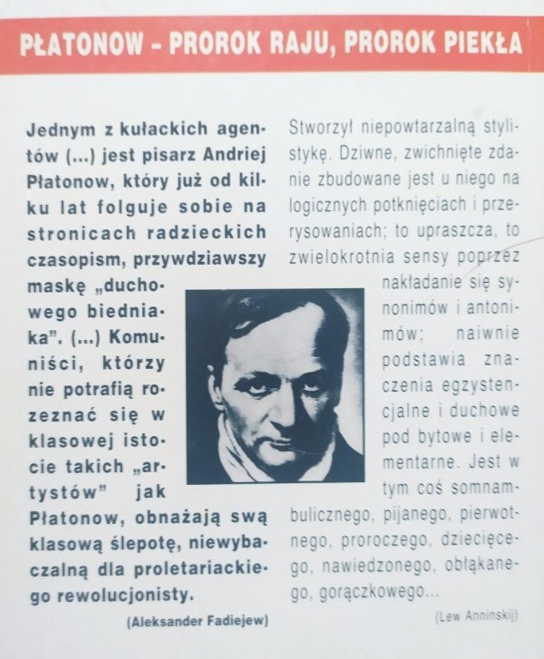 Andriej Płatonow Juwenilne morze
