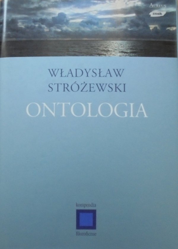 Władysław Stróżewski Ontologia