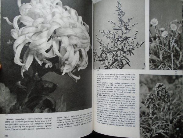 F.A.Novak • Wielki atlas roślin