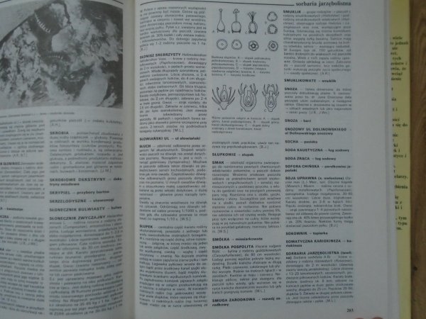  red. Jan Woźnica • Encyklopedia pszczelarska