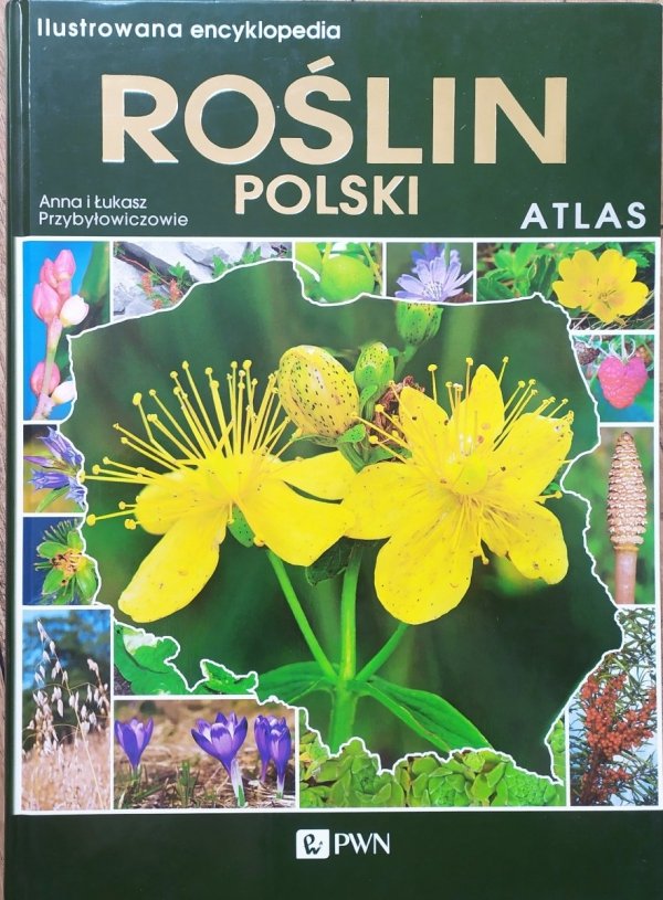 Anna i Łukasz Przybyłowiczowie Ilustrowana encyklopedia roślin Polski. Atlas