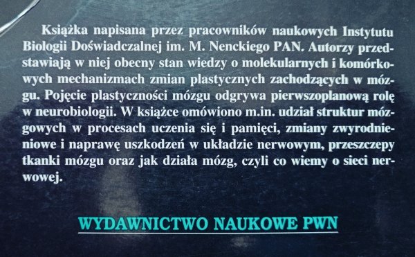 Mechanizmy plastyczności mózgu