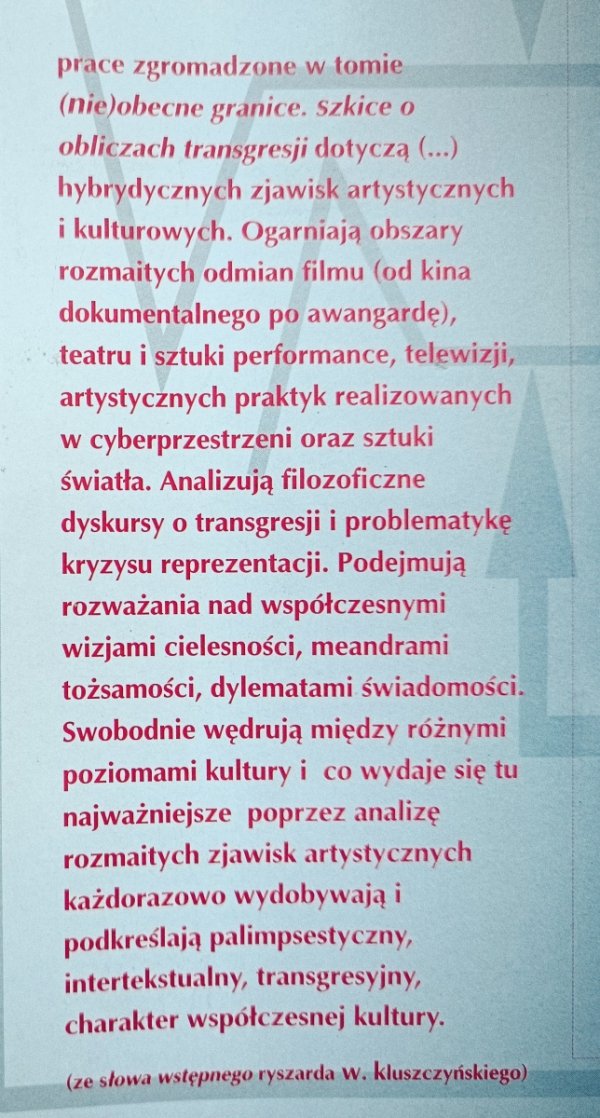 (Nie)obecne granice. Szkice o obliczach transgresji