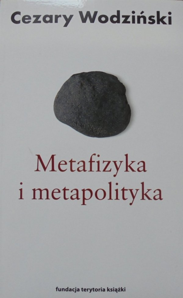 Cezary Wodziński • Metafizyka i metapolityka. Czarne zeszyty Heideggera