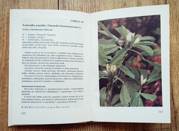 Jadwiga Anioł-Kwiatkowska Rośliny kosmetyczne