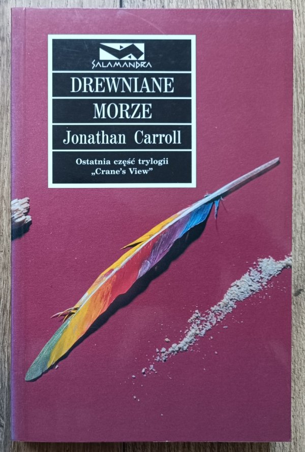 Jonathan Carroll Drewniane morze / seria Salamandra