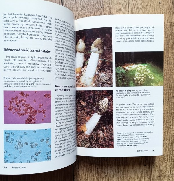 Markus Fluck Atlas grzybów. Oznaczanie, zbiór, użytkowanie