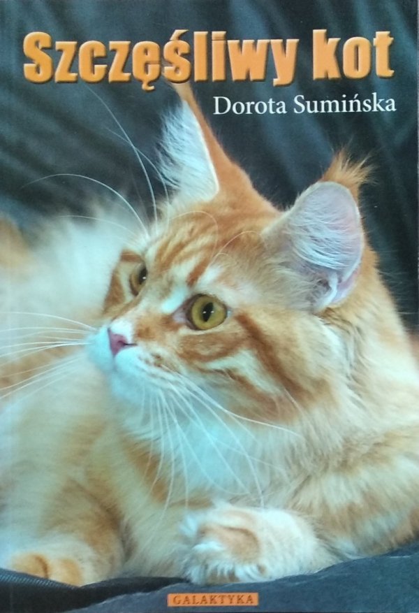 Dorota Sumińska • Szczęśliwy kot
