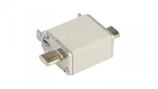 Wkładka bezpiecznikowa NH00 125A gF 500V 004114340