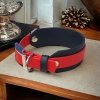 Obroża dla CHARTA XS (27 - 32 cm) oryginalny BIOTHANE® 38mm