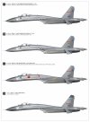 Great Wall Hobby S4818 Su-27 Flanker-B 30th Anniversary Service in China 1/48