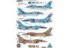 Kinetic K48004 F-16A/B NSWAC AGRESSOR (1:48)