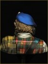 Young Miniatures YH1838 Highland Clansman 1/10