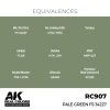 AK Interactive RC907 Pale Green FS 34227 17 ml