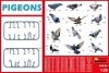 MiniArt 38036 PIGEONS 1/35