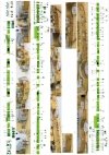 Pontos 35022F1 BISMARCK 1941 Detail Up Set (1:350)