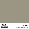 AK Interactive RC857 Grau-Grey RAL 7027 17 ml