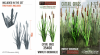 RT-Diorama 35400 Cattail Grass 1/35