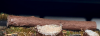 FREON KM1 Kłody malowane / Painted logs
