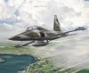 Kinetic K48110 NF-5A Freedom Fighter 1/48
