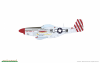 Eduard 11159 RED TAILS & Co. DUAL COMBO 1/48