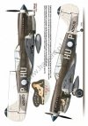 Kagero 7037 Curtiss P-40 F,K,L,M,N models EN/PL