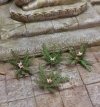 RT-Diorama 35615 Jungle Plant No.5 1/35