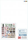 Star Decals 35-C1433 War in Ukraine # 27 Russian T-80BVM in Ukraine. 1/35