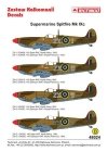 Techmod 48024 - Supermarine Spitfire Mk.IX (1:48)