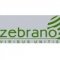 Zebrano