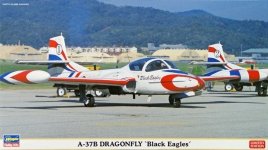 Hasegawa 02072 A-37B Dragonfly Black Eagles (2 plane set) 1/72