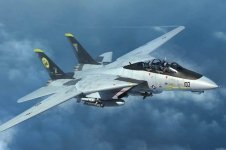 Trumpeter 03919 F-14D Tomcat 1/144