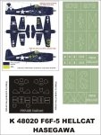 Montex K48020 F6F5 Hellcat 1/48