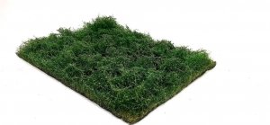 Bear`s Scale Modeling 400107 Wild Thickets - Summer 25x18 cm (1 pcs)
