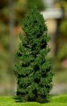 FREON MPN1 Larch - Modrzew pień niski (Pełny) 18/20cm