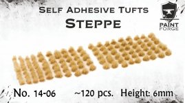 Paint Forge PFTU0614 Steppe 6mm