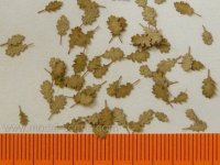 Model Scene L3-202 Oak - dry leaves 1/32, 1/35