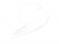 Hataka B101 Traffic White (RAL 9016) 10ml