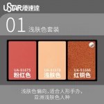 U-Star UA-91686 Aging Enamel Powder Reddish Copper