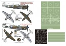 Montex K48142 P-40N 1/48