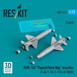 RESKIT RS72-0517 AGM-142 Popeye/Have Nap missiles (2 pcs) (3D Printed) 1/72