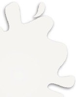 Gunze Sangyo C107 Character White