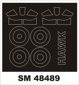 Montex SM48489 Curtiss Hawk III FREEDOM 1:48