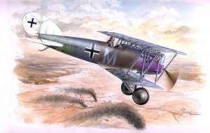 Special Hobby 48024 Pfalz D. XII Late version 1/48