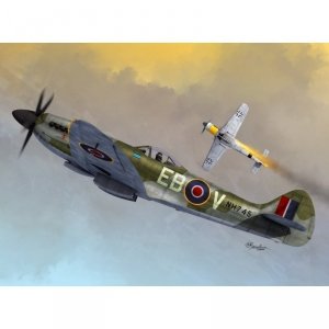 Sword 72096 Supermarine Spitfire Mk.XIV C/E Bubbletop 1:72