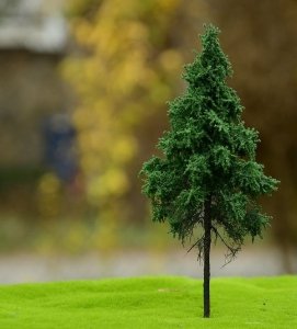 FREON SWP3 Norway spruce - Świerk Pospolity pień wysoki (leśny) 8/12cm