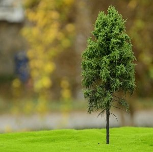 FREON MPW2 Larch - Modrzew pień wysoki 14/16cm