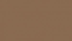 Lifecolor UA473 - Dark Brown 22ml