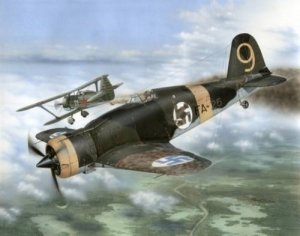 Special Hobby 32044 Fiat G.50-II Freccia Finish Aces (1:32)
