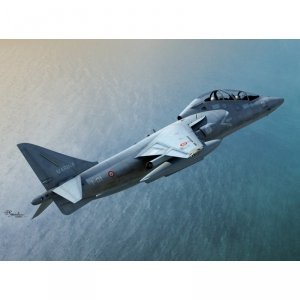 Sword 72100 TAV-8B Harrier II 1:72